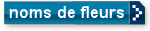 noms de fleurs